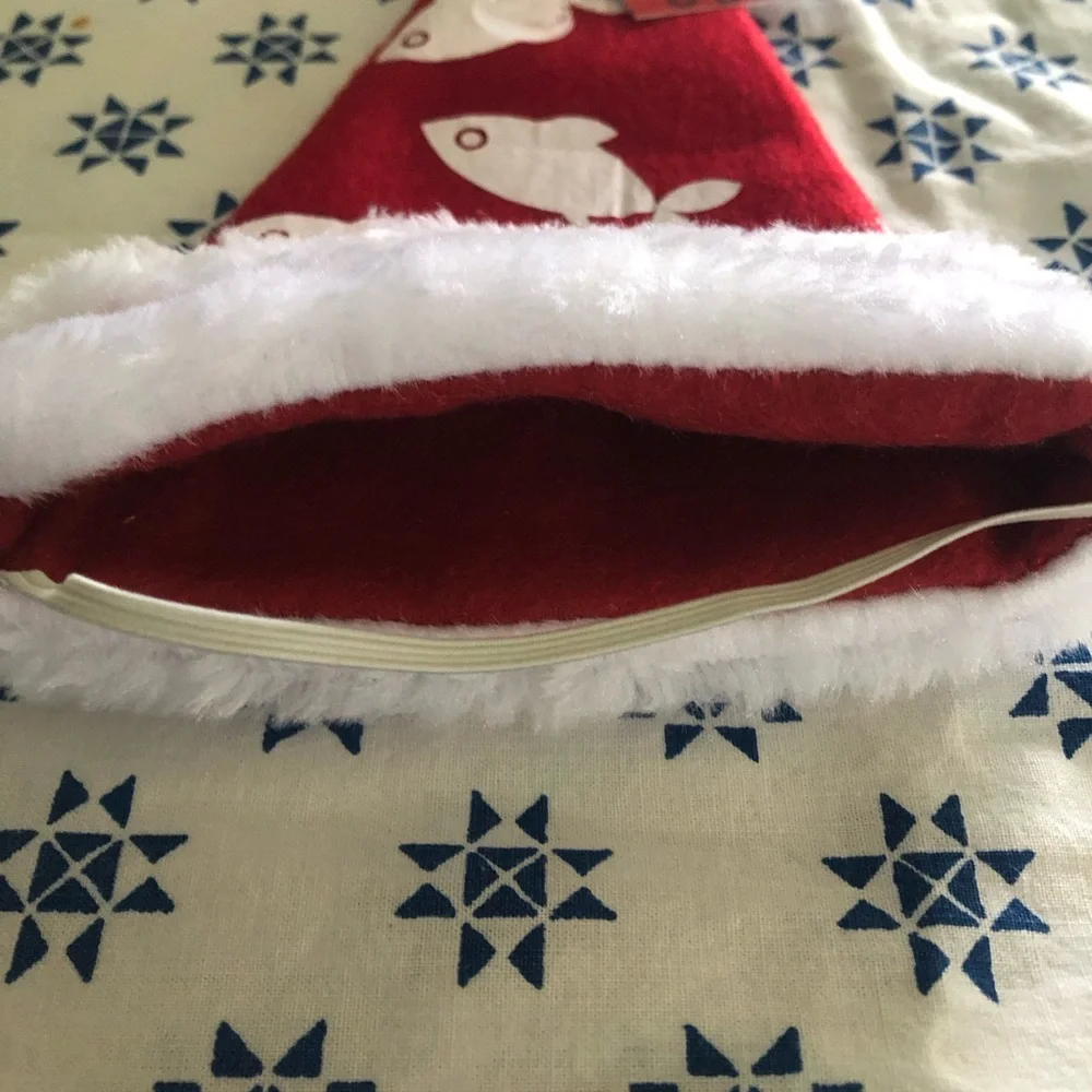 Santa Christmas cat for cat